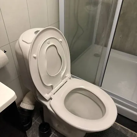 公寓 Norway Lights Center Of Near Train Station And Airoport