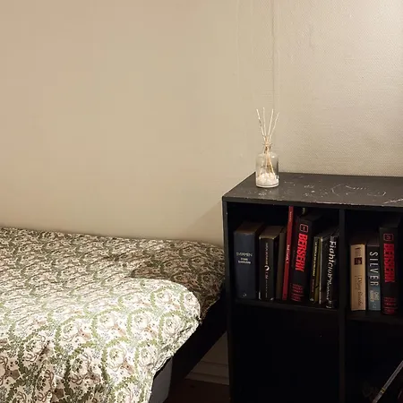 Apartament Norway Lights Center Of Near Train Station And Airoport *